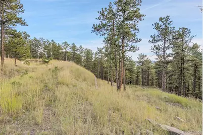 2317 Wieler Road, Evergreen, CO 80439 - Photo 5