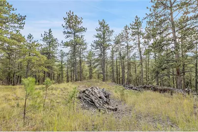 2317 Wieler Road, Evergreen, CO 80439 - Photo 11