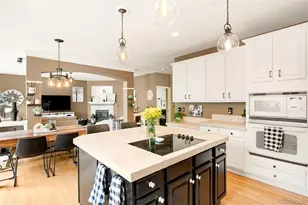 869 Shadowstone Dr, Highlands Ranch, CO 80129 - Photo 15