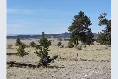 237 Rocky Mountain Court, Hartsel, CO 80449 - Photo 9