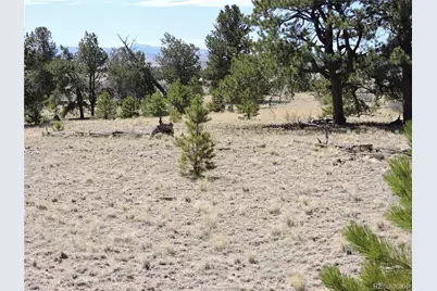 237 Rocky Mountain Court, Hartsel, CO 80449 - Photo 7