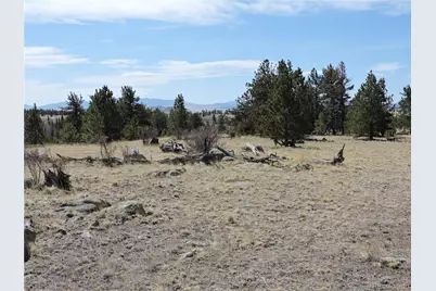 237 Rocky Mountain Court, Hartsel, CO 80449 - Photo 13