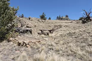 237 Rocky Mountain Ct, Hartsel, CO 80449 - Photo 1