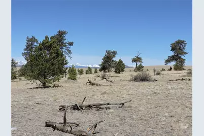 237 Rocky Mountain Court, Hartsel, CO 80449 - Photo 19