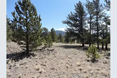 237 Rocky Mountain Court, Hartsel, CO 80449 - Photo 11