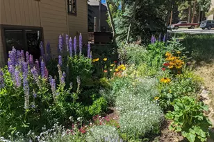 114 Park Forest Dr, Breckenridge, CO 80424 - Photo 41