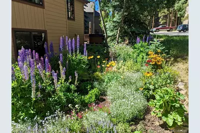 114 Park Forest Drive, Breckenridge, CO 80424 - Photo 39