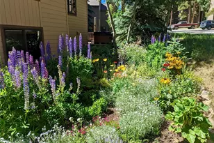 114 Park Forest Dr, Breckenridge, CO 80424 - Photo 39