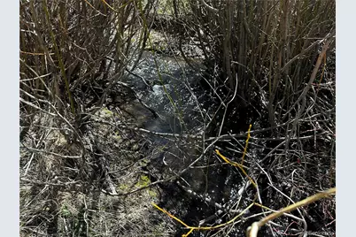 Lot 223 Hwy 160, Fort Garland, CO 81133 - Photo 7