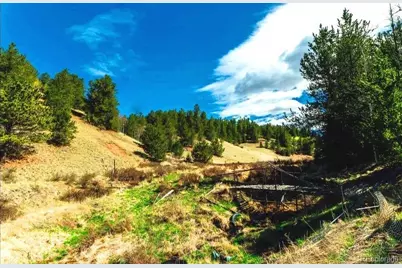 977 Cr-61, Divide, CO 80814 - Photo 11