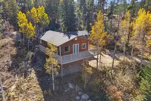 102 Black Bear Trail, Golden, CO 80403 - Photo 37