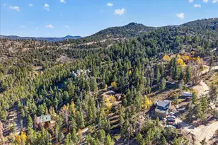 102 Black Bear Trail, Golden, CO 80403 - Photo 41