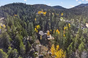 102 Black Bear Trail, Golden, CO 80403 - Photo 39
