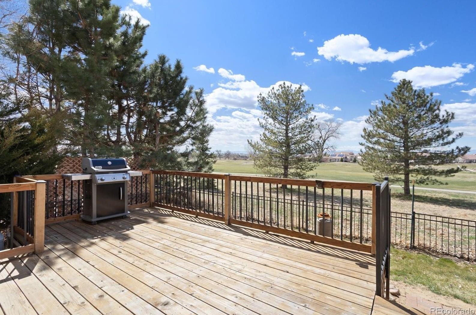 5183 Netherland St, Denver CO  80249-8240 exterior