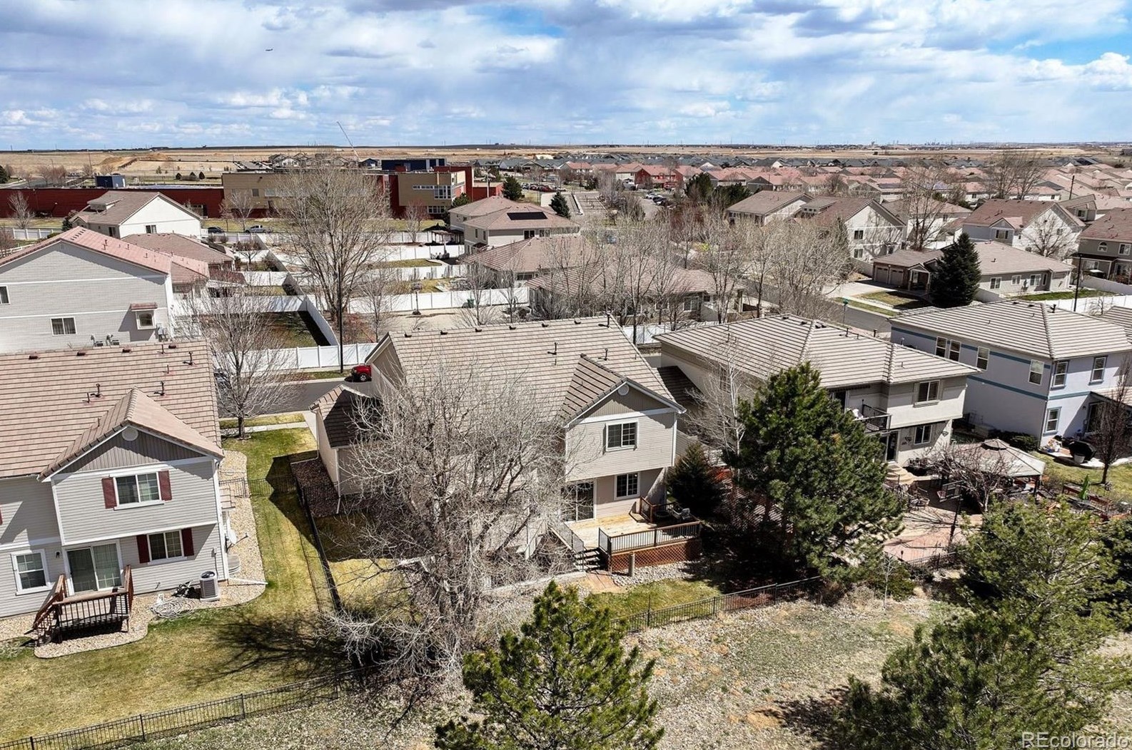 5183 Netherland St, Denver CO  80249-8240 exterior
