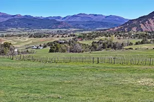 58749 Oe Rd, Collbran, CO 81624 - Photo 43