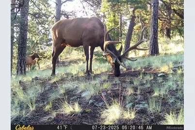 9100 County Rd 102, Guffey, CO 80820 - Photo 43