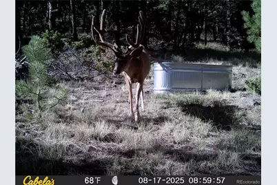 9100 County Rd 102, Guffey, CO 80820 - Photo 45