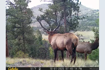 9100 County Rd 102, Guffey, CO 80820 - Photo 47