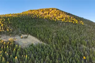 9100 Co Rd 102, Guffey, CO 80820 - Photo 47