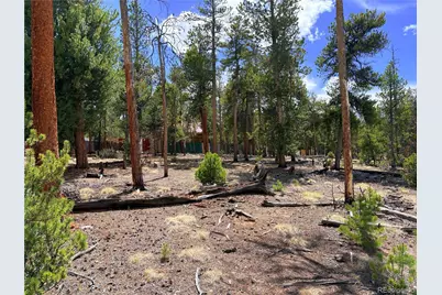 360 Lodgepole Drive, Leadville, CO 80461 - Photo 3