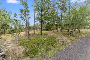10444 Crystal Dr, Morrison, CO 80465 - Photo 31