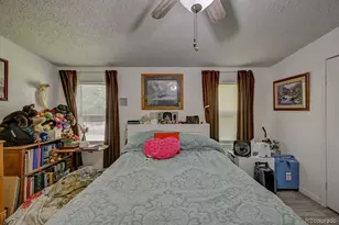121 Brookdale, Buena Vista, CO 81211 - Photo 35