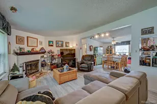 121 Brookdale, Buena Vista, CO 81211 - Photo 47