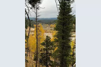 1555 Shelton Drive, Bailey, CO 80421 - Photo 23