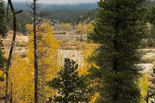 1555 Shelton Dr, Bailey, CO 80421 - Photo 23