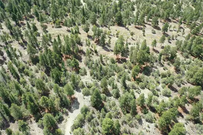 Conejos Place, Mosca, CO 81146 - Photo 3