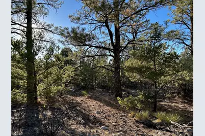 Conejos Place, Mosca, CO 81146 - Photo 7