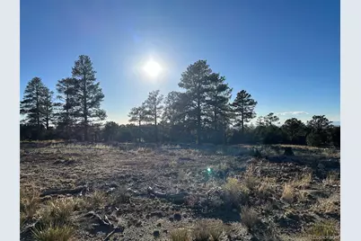 Conejos Place, Mosca, CO 81146 - Photo 5