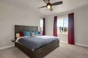 8147 Sterling Ranch Ave, Littleton, CO 80125 - Photo 19