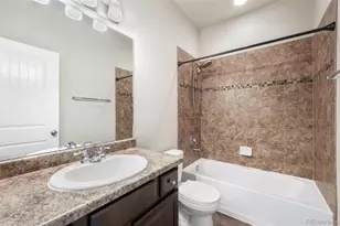 7296 Alpine Daisy Dr, Colorado Springs, CO 80925 - Photo 39
