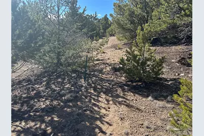 15135 Marble Run, Salida, CO 81201 - Photo 35