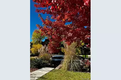 438 N Downing Street, Denver, CO 80218 - Photo 29