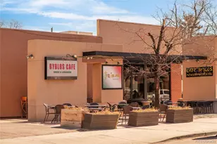 438 N Downing St, Denver, CO 80218 - Photo 39