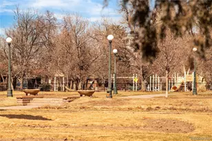 438 N Downing St, Denver, CO 80218 - Photo 37