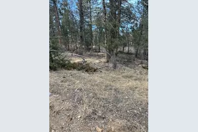 260 Ranch Resorts Drive, Florissant, CO 80816 - Photo 1