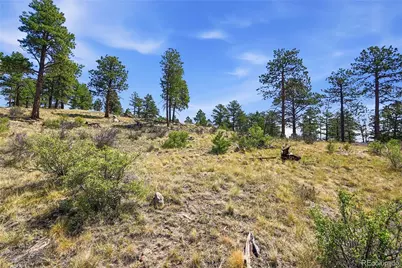 33550 Mount Wilson Road, Pine, CO 80470 - Photo 9