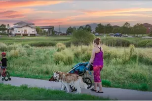 13505 Nederland Dr, Peyton, CO 80831 - Photo 9
