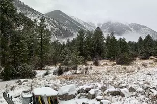 18957 Co Rd 162, Nathrop, CO 81236 - Photo 35