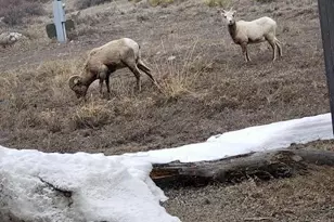 18957 Co Rd 162, Nathrop, CO 81236 - Photo 45