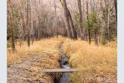18957 County Road 162, Nathrop, CO 81236 - Photo 31