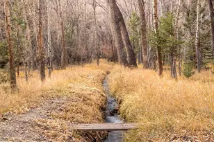 18957 Co Rd 162, Nathrop, CO 81236 - Photo 31