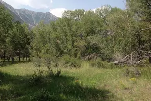 18957 Co Rd 162, Nathrop, CO 81236 - Photo 39