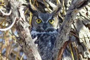 18957 Co Rd 162, Nathrop, CO 81236 - Photo 43