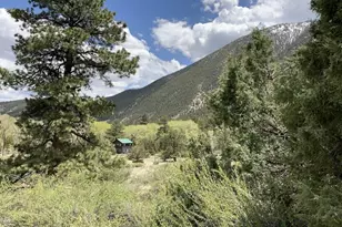 18957 Co Rd 162, Nathrop, CO 81236 - Photo 25