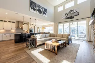 52 Simmental Loop, Castle Rock, CO 80104 - Photo 7